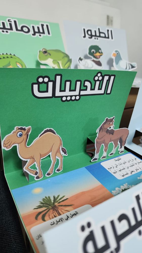 مشاريع مطويات ثلاثية الأبعاد - الأسعار تبدأ من 50 درهم